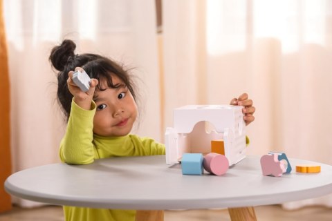 Viga 44052 Sorter edukacyjny muzyczne klocki