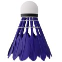 NBL6216 LOTKI Z PIÓR MULTICOLOR 6 SZT. NILS NILS