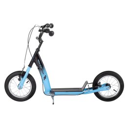 WH113N BLUE 12