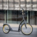 WH200 BLACK/GOLD 20/16'' HULAJNOGA Z POMP. KOŁAMI NILS EXTREME NILS EXTREME
