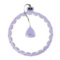 HHM14 HULA HOP VIOLET Z MAGNESAMI I OBCIĄŻNIKIEM + LICZNIK HMS HMS