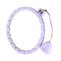 HHM14 HULA HOP VIOLET Z MAGNESAMI I OBCIĄŻNIKIEM + LICZNIK HMS HMS