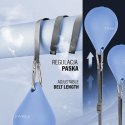 ZESTAW HULA HOP MAGNETYCZNY BLUE HHM15 Z LICZNIKIEM HMS + PAS WYSZCZUPLAJĄCY BR163 RED HMS