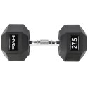 HEX PRO 27.5 KG HANTLA HMS HMS