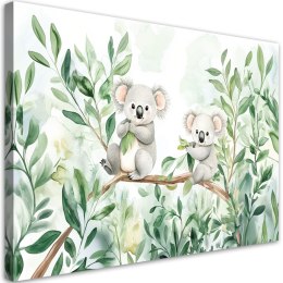 Obraz do pokoju dziecka, Misie Koala Liście eukaliptusa - 100x70