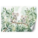 Fototapeta do pokoju dziecka, Misie Koala Liście eukaliptusa - 100x70