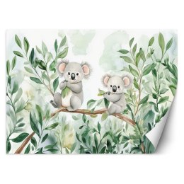 Fototapeta do pokoju dziecka, Misie Koala Liście eukaliptusa - 100x70