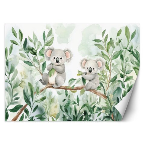 Fototapeta do pokoju dziecka, Misie Koala Liście eukaliptusa - 100x70