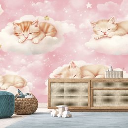Fototapeta do pokoju dziewczynki, Kotki w chmurach Różowy - 100x70