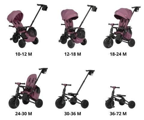 Qplay Rowerek Trójkołowy Nova Max Violet Qplay Rowerek Trójkołowy Nova Max Violet