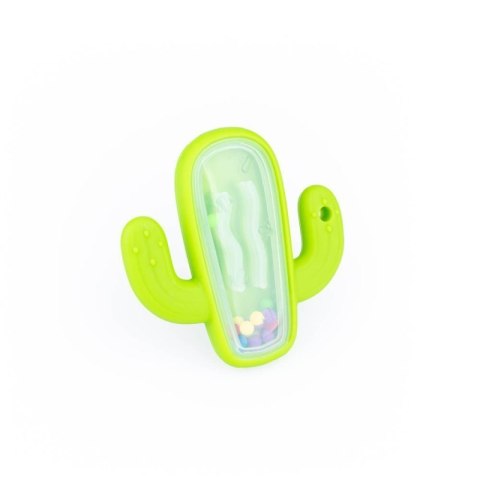 Grzechotka kaktus GILIGUMS GILIGUMS Grzechotka kaktus GILIGUMS GILIGUMS
