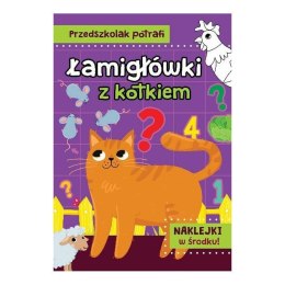 Łamigłowki z kotkiem AWM WYDAWNICTWO AWM WYDAWNICTWO