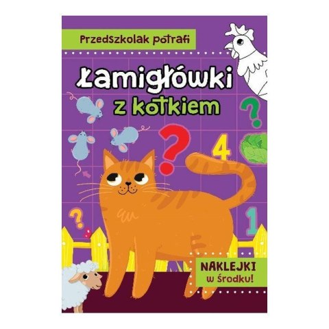Łamigłowki z kotkiem AWM WYDAWNICTWO AWM WYDAWNICTWO
