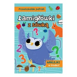 Łamigłowki z sówką AWM WYDAWNICTWO AWM WYDAWNICTWO
