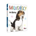 Milusińscy w domu AWM WYDAWNICTWO