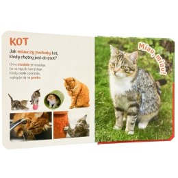 Pogłaszcz wiejskie zwierzątko AWM WYDAWNICTWO