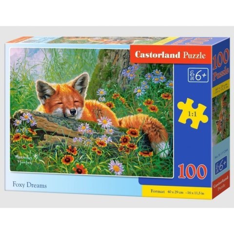Puzzle 100 foxy dreams CASTOR CASTOR Puzzle 100 foxy dreams CASTOR CASTOR