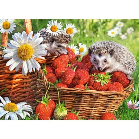 Puzzle 200 strawberry dessert CASTOR CASTOR Puzzle 200 strawberry dessert CASTOR CASTOR