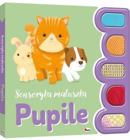 SENSORYKA MALULSZKA PUPILE AWM WYDAWNICTWO