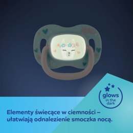 Smoczek sil. sym. 0-6m koala CANPOL BABIES CANPOL BABIES