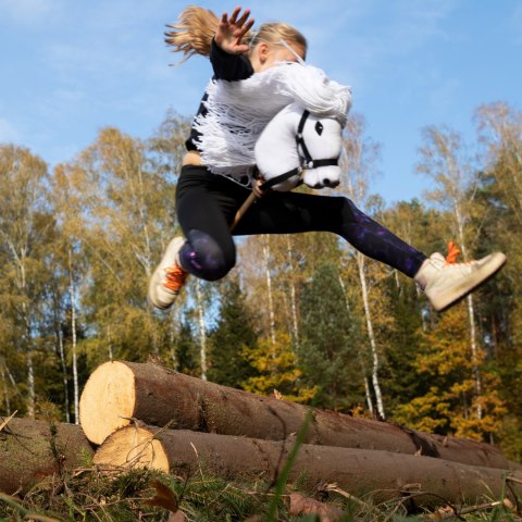 Biały konik hobby horse duży A3 kantar wodze HH Biały konik hobby horse duży A3 kantar wodze HH