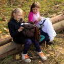 Kasztanowaty konik hobby horse duży A3 kantar HH