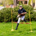 Konik na kiju z kantarem - Hobby Horse Skippi - Karmel - A3 - prezent