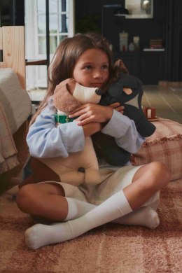 Poduszka Pies Cooper - Beagle, Lorena Canals