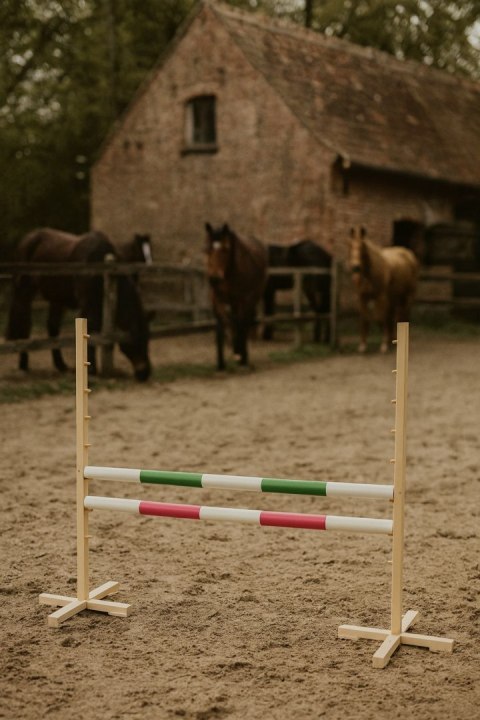 Przeszkoda skokowa do Hobby Horse 120cm, dwie belki - zielona i różowa