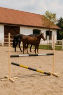 Przeszkoda skokowa do Hobby Horse 120cm, dwie belki - czarno-srebrna i czarno-złota
